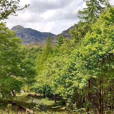 Mountain Walks Straight From The Doorstep Villa Blaenau Ffestiniog Dış mekan fotoğraf