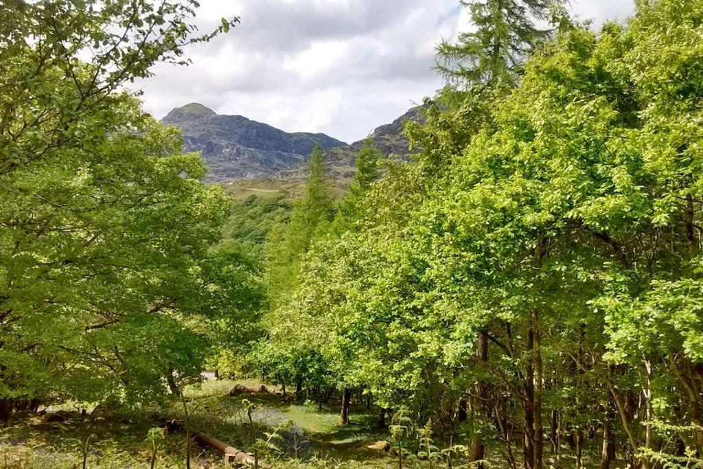 Mountain Walks Straight From The Doorstep Villa Blaenau Ffestiniog Dış mekan fotoğraf